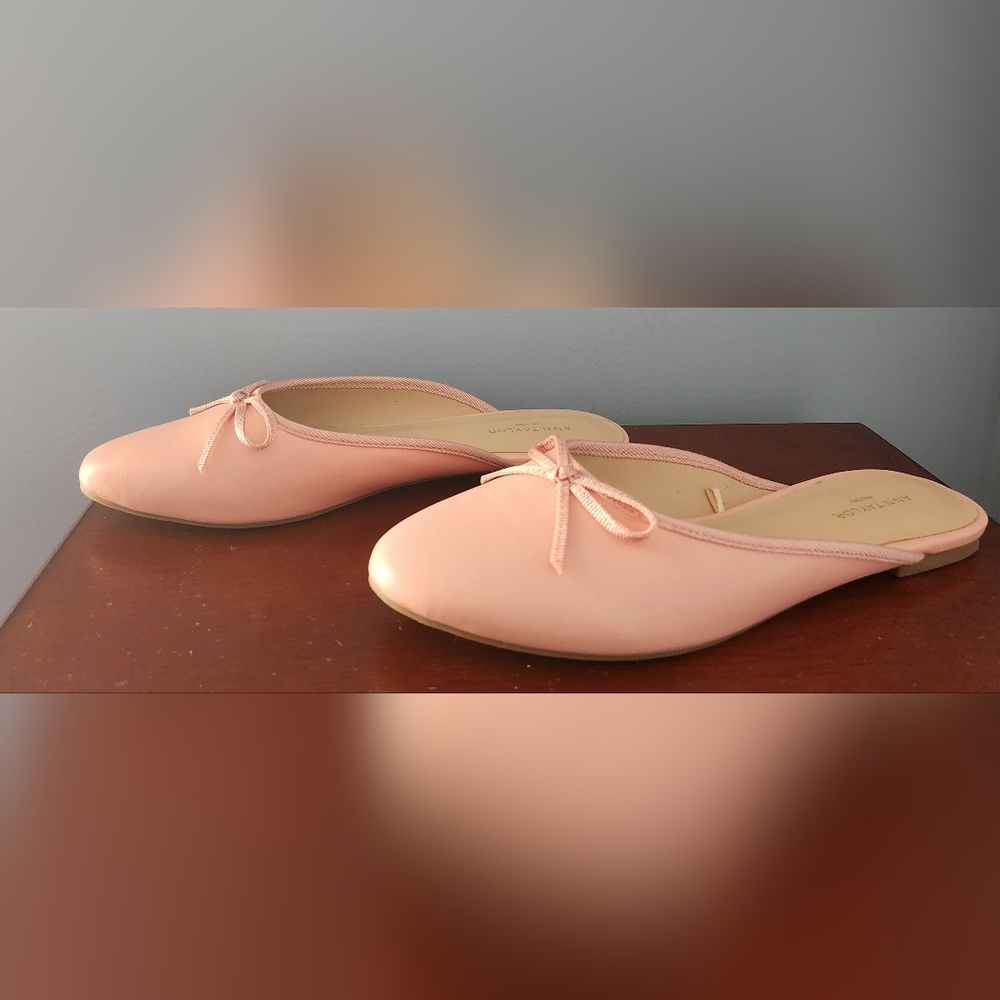 Ann Taylor Shoes